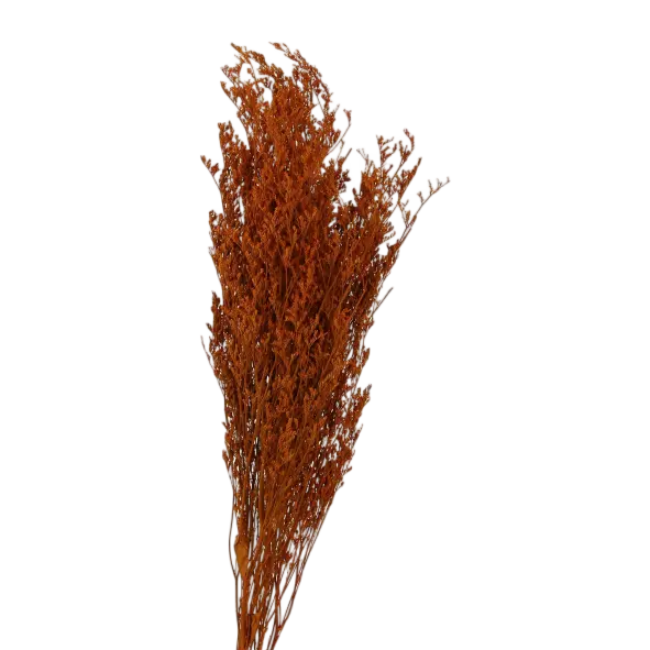 Natural Pompas Grass Floral