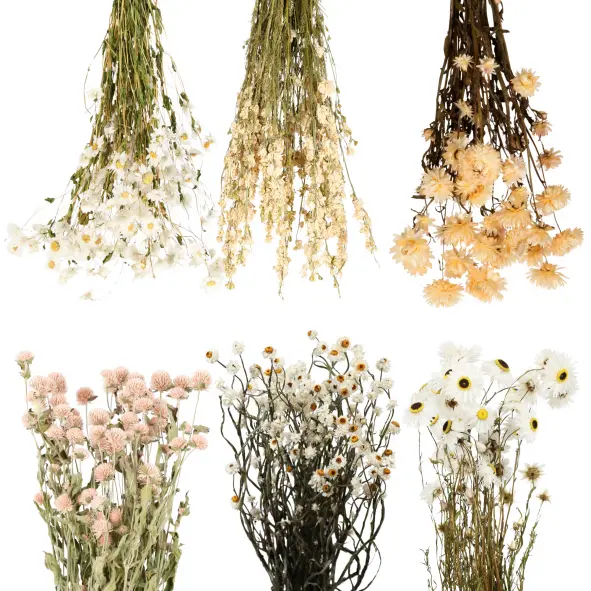 field flower mix case - white