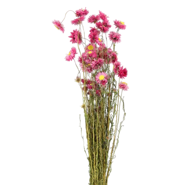 field flower mix case