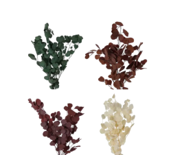 The Beauty and Uses of Dried Branches and Leaves
